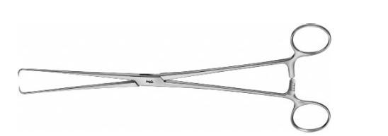 КОРНЦАНГ БРАУН ЗАХОПЛЮЮЧИЙ, ВУЗЬКИЙ ВІЗЕРУНОК, ПРЯМИЙ, 250 ММ